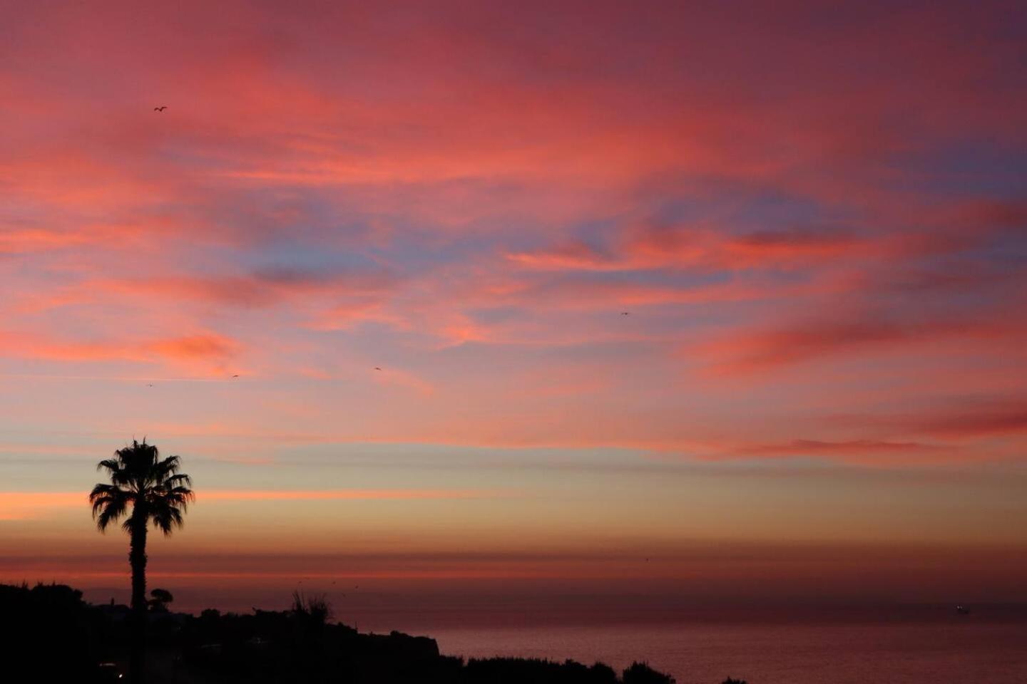 Apartamento Sea View W Pool, Terrace & Parking Cascaes Exterior foto